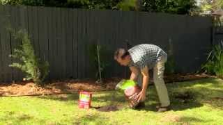 How To Fix A Patchy Lawn [upl. by Weslee487]