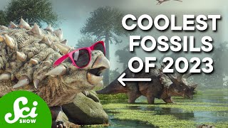 These Are The Coolest Fossils From 2023 [upl. by Geoffrey]