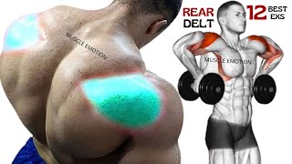 12 BEST REAR DELTOID EXERCISES WITH DUMBBELLS ONLY AY HOME OR AT GYM [upl. by Halet]