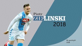 Piotr Zieliński Skills amp Goals  Napoli  20172018 [upl. by Olegnalehcim291]