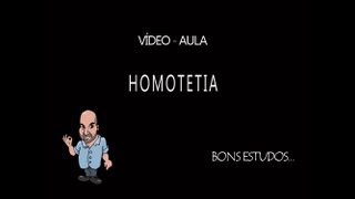 Homotetia Parte 1  Ampliações [upl. by Attenra138]