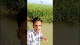 Khet mein Pani patavan ho raha hai koi rokega re😯😯 purab mohena mohitsehgal kairat [upl. by Eatnuhs]