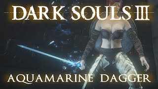 Aquamarine Dagger Moveset Dark Souls 3 [upl. by Mima685]