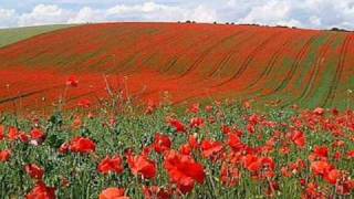 In Flanders Fields by John McCrae May 1915 [upl. by Demitria]