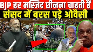 सदन में भड़के ओवैसीBIG SPEECH OWAISI ON BJP RSS [upl. by Leirraj496]