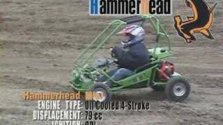 TJ Power Sports Mini Hammerhead [upl. by Arihs]