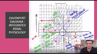 DAVENPORT DIAGRAM  INTEGRATED RENAL PHYSIOLOGY [upl. by Ellimac]