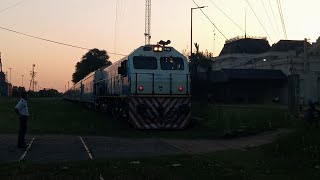 El Ultimo a Pehuajo Tren N°156 Parte 2 [upl. by Ahtamas315]