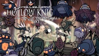 How to Win Trial of the Fool with Only 10 Notches Hollow Knight Detailed Guide [upl. by Enirehtahc]