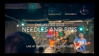 Needles And Pinsquot The Searchers cover by The Jellied Eels [upl. by Luiza]