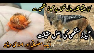 Gider singhi ki Haqeeqat  Islahi Aur malomati Video  Islamic Life [upl. by Champaigne]