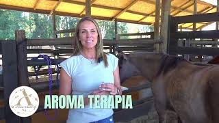 Aroma terapia para tus caballos huasos caballo [upl. by Barnabe]