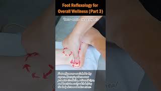 Foot Reflexology for Overall Wellness Part 3 footreflexology stressrelief naturalhealing [upl. by Yelrebmyk]