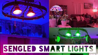 Sengled SMART LIGHTBULB Setup  ALEXA Auto Pairing smarthome [upl. by Eikcuhc]