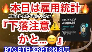 【ビットコイン本日の変動⚠️】ビットコインのアクティブアドレス数が急減❗️人々の関心が無くなってる⁉️底打ちあるよ😂TONの下落はCEOの逮捕により…買いかなぁ🤔 [upl. by Slocum]