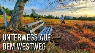 Unterwegs auf dem Westweg  Hornisgrinde  Natur in NRW  2022  Jörg Müller [upl. by Ruhl]