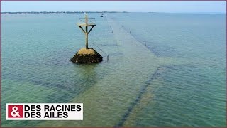 Le passage du Gois [upl. by Bihas243]