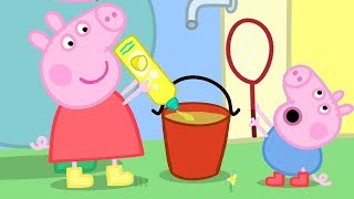 Peppa Pig and George Pig Play With Bubbles  Peppa Pig Official Family Kids Cartoon [upl. by Drais]