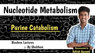 Catabolism Of Purine Nucleotides  Nucleotide Metabolism  Biochemistry Lectures [upl. by Ecal866]