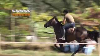 Corrida Cavalos a Galope [upl. by Gus]