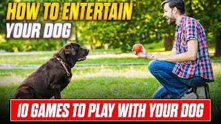 10 Fun Games to Play With Your Dog  Keep Them Active and Happy [upl. by Francyne]