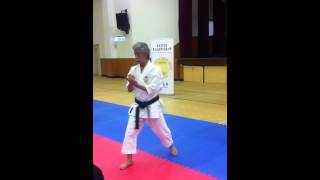 Seiunchin Kata 27  Soke Inoue [upl. by Nrek]