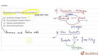 Azotobacter and Polymyxa are example of [upl. by Adaval918]