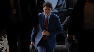 LILLEY UNLEASHED Trudeau Liberals are fighting with Elon Musk…for some reason [upl. by Spark713]