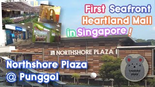 Northshore Plaza Punggol  The First Seafront Heartland Mall in Singapore PreOpening Day Video [upl. by Vorfeld]