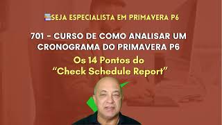 Aula 06  Primavera P6  O que é “Check Schedule Report” [upl. by Hebbe749]