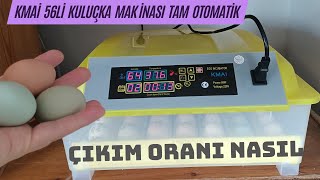 100 VERİMLİLİK İÇİN DİKKAT ETMEMİZ GEREKENLER  KMAI 56lı Tam Otomatik Kuluçka Makinesi [upl. by Johan]