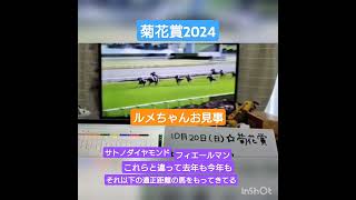 菊花賞2024🐴アーバンシック！ルメールには逆らえない [upl. by Keram]