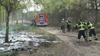 Grote brand verwoest hectare bos [upl. by Akinam]