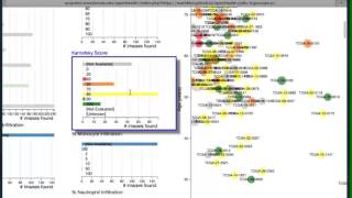 Tools to Analyze Morphology and Spatially Mapped Molecular Data [upl. by Nichole359]