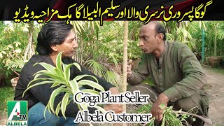 Goga Pasroori flower seller and Saleem Albela customer  Albela Tv [upl. by Zelda981]