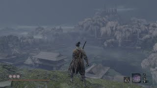 Fountainhead Palace  Sekiro part 13 [upl. by Aldwin]