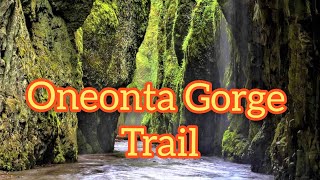 Oneonta Gorge Trail  Lower Oneonta Falls  was taken July 17  2017  Oregon [upl. by Ferne]