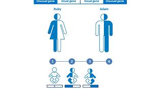 How are recessive disorders inherited English [upl. by Siffre426]