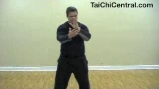 Tai Chi 10 form part 2 reverse reeling forearms [upl. by Doowrehs971]