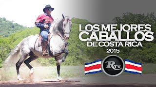 ✅🇨🇷 Los Mejores Caballos de Costa Rica  Caballos Finos  RysolTV [upl. by Ullyot]