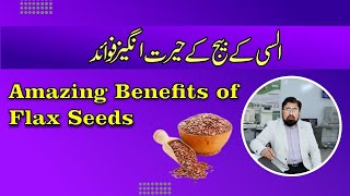 Flax seeds Alsi health benefits and nutrition facts in UrduHindi [upl. by Atauqal]