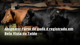 Abigeato Furto de gado é registrado em Bela Vista do Toldo [upl. by Heilman]