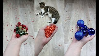 Cat Marbles Satisfying Reverse Video ASMR Funny Video [upl. by Hsreh]