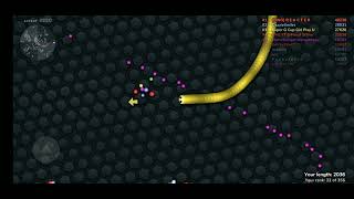 secret levelslitherio part 3 [upl. by Nilreb]