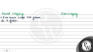 Differentiate between mixed cropping and intercropping [upl. by Corder]