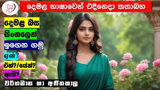 අපි දෙමළ කතා කරමු  මූලික පාඩම්  Lets Speak Tamil  Basic to Advanced Lessonsquot  Punchi Danuma [upl. by Hnahym]