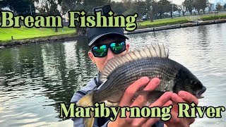 Catching Bream in the Maribyrnong River [upl. by Pallaton]