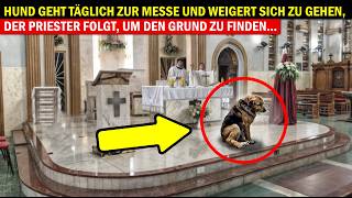 Hund geht täglich zur MESSE und weigert sich zu gehen Der PRIESTER folgt um den GRUND zu finden… [upl. by Carita]