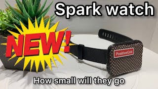 Positive Grid Spark WATCH amp demo and overview NEW [upl. by Annaiv]