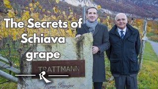 Unveiling The Secrets Of Schiava grape  Girlan Winery [upl. by Marmion352]